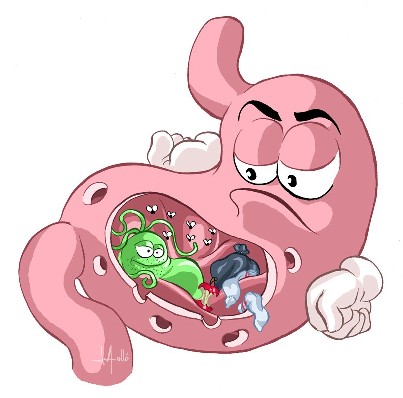 Helicobacterii