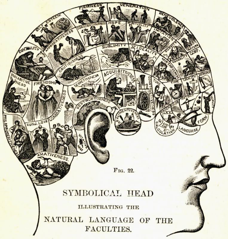frenologia